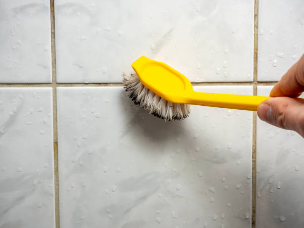 Best Basement Mold Remediation in Redwood, OR