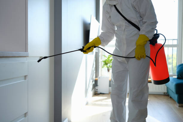 Best Industrial Mold Remediation in Redwood, OR