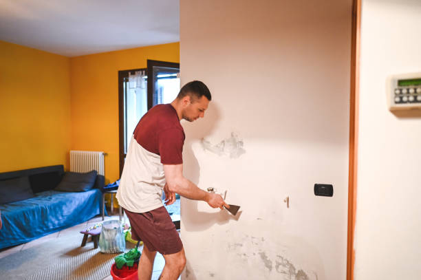 Reliable Redwood, OR Mold Remediation Solutions
